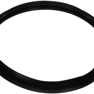 Hayward Star-Clear Filter Gasket | CX250F